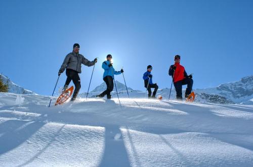 Winteraufnahmen Gastein